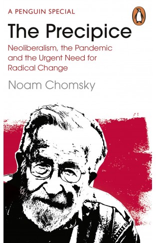 The Precipice - Neoliberalism, the Pandemic and the Urgent Need for Radical Change